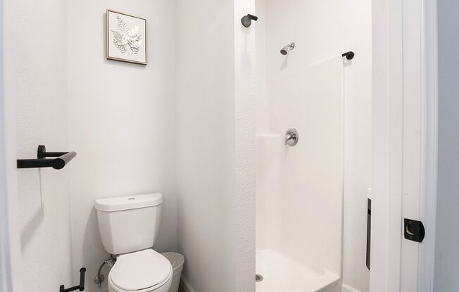 Studio, 1 bath, 138 sqft, $1,595