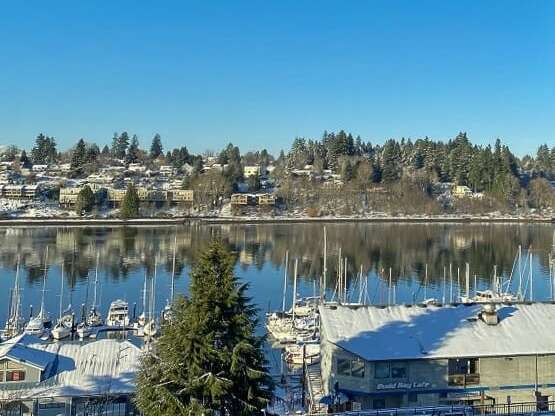 water view with snow at Harbor Heights 55+ Community, Olympia, 98501