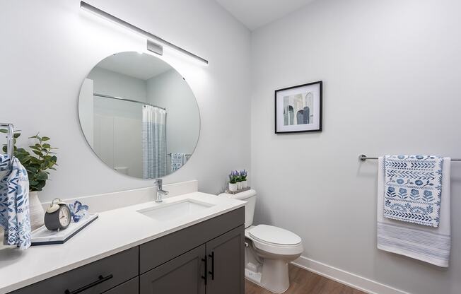 bathroom with plank flooring, gray cabinetry, white quartz countertops and large circular mirror at Steelcote Square, St. Louis, MO