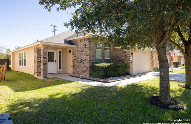 8514 MEXICAN ALDER
