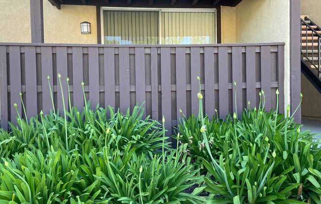 1 bed, 1 bath, 716 sqft, $2,150, Unit D005