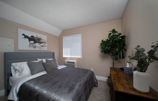 1 bed, 1 bath, 427 sqft, $2,300, Unit 223