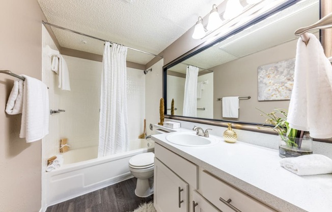 Model apartment renovated bathroom at Hillside Creek Apartments in Austin, TX
