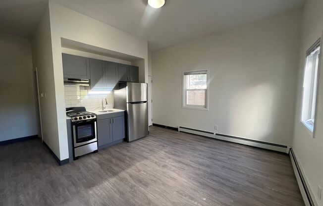 Studio, 1 bath, $1,375, Unit A1119 - 32