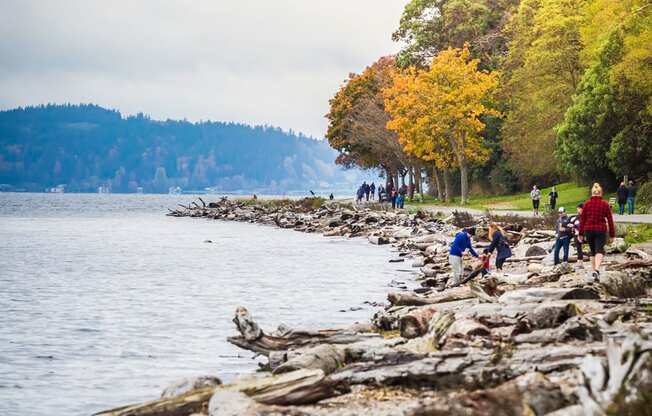 People Walking Along Rocky Shoreline