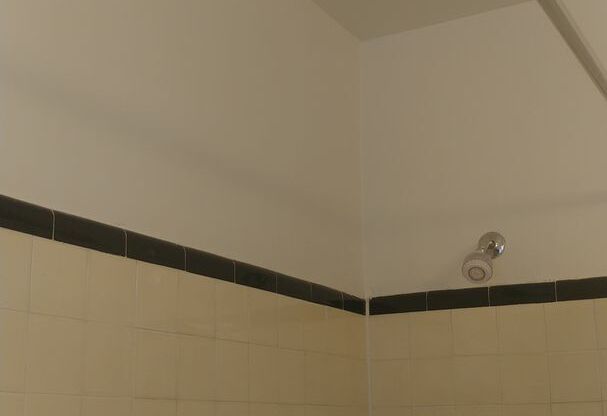 1 bed, 1 bath, 585 sqft, $1,785, Unit 109A