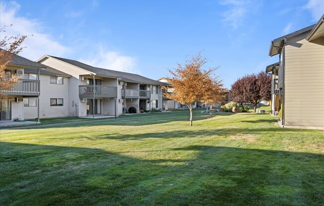 Large green grass courtyard with orange trees in the center of the community. at Brix, Washington