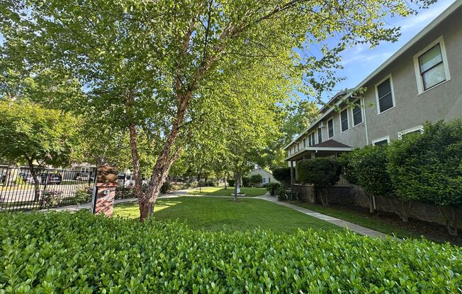 1 bed, 1 bath, 500 sqft, $1,400, Unit 4500-7