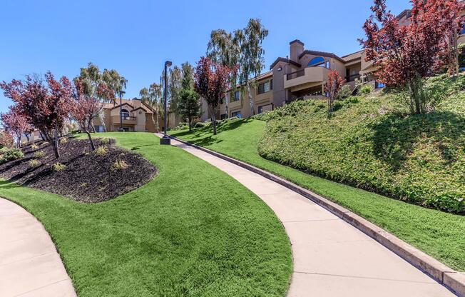 a path in a garden