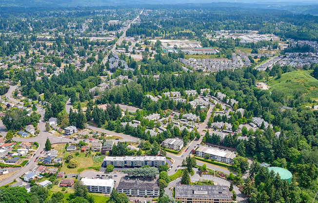 View of Peak 88 from above, surrounded by trees with mountains in the distance.