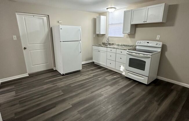 Large One Bedroom in Duplex Lower Unit