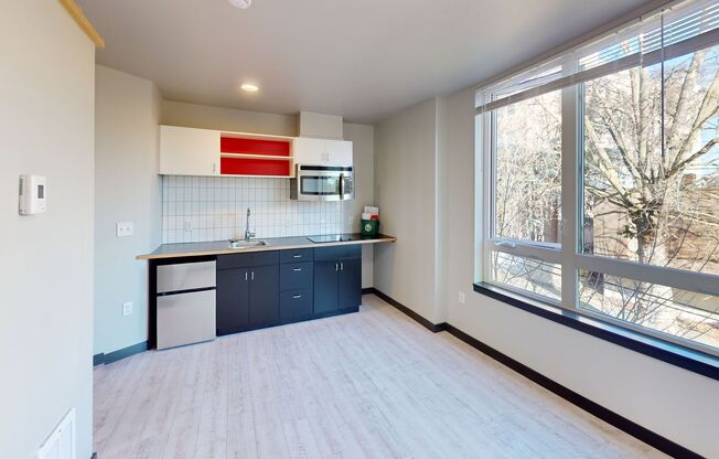 Studio, 1 bath, 238 sqft, $1,195, Unit 407