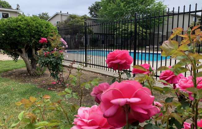 Welcome to Del Prado I Apartments