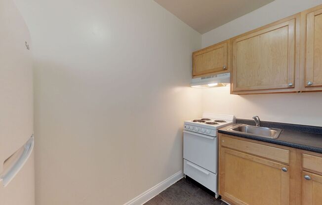 Studio, 1 bath, 295 sqft, $920, Unit A307
