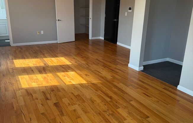 Studio, 1 bath, 480 sqft, $1,150, Unit Unit #22
