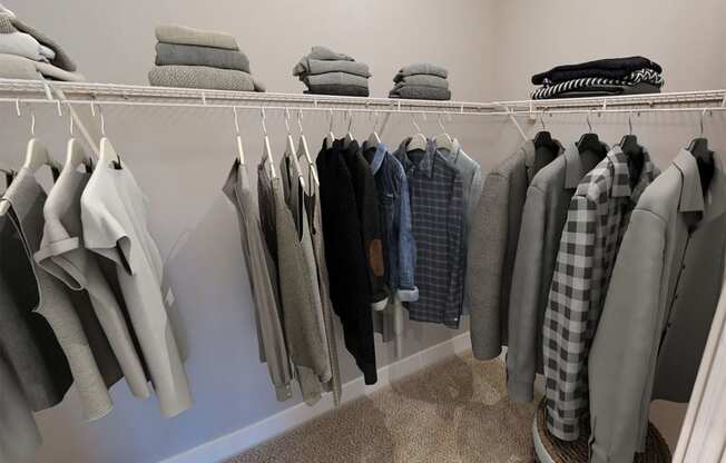 Brixin Franklin Apartments & Townhomes Closet