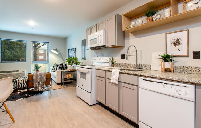 1 bed, 1 bath, 500 sqft, $825, Unit 305