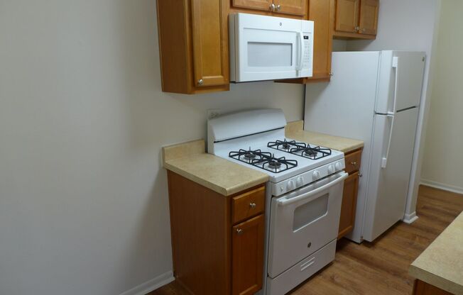 1 bed, 1 bath, 650 sqft, $1,495, Unit 505