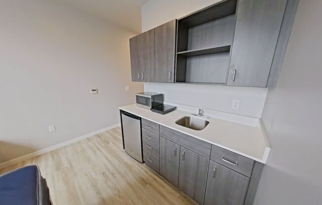 Studio, 1 bath, 261 sqft, $925, Unit 209