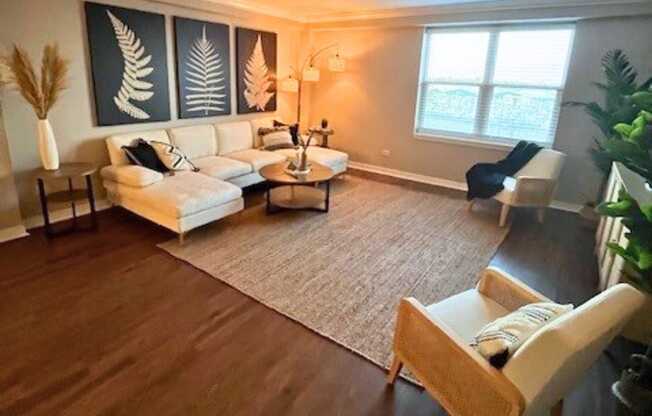 A living room with a white couch and a rug.