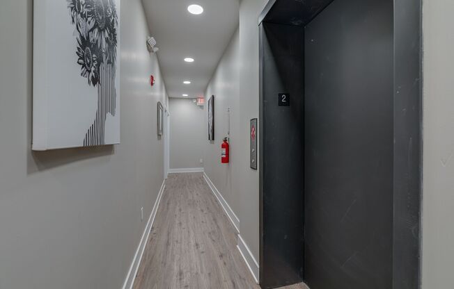 Brand New Luxury Apartments
