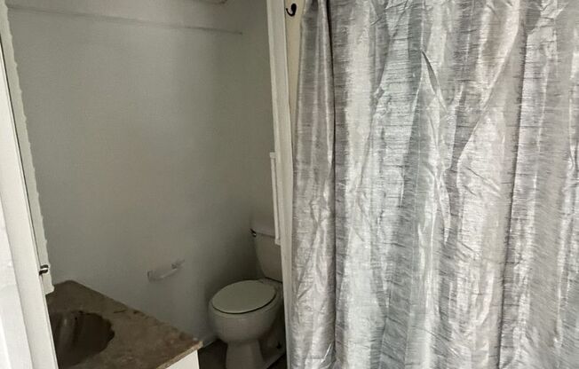 1 bed, 1 bath, $800