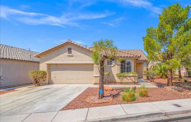 Fabulous Summerlin Single Story Home!