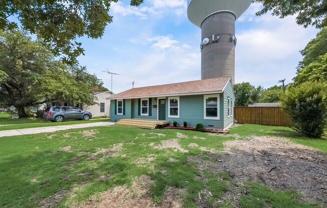 Adorable Remodeled Mckinney Home!