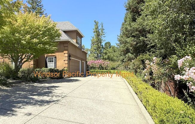 NEW PRICE ! Westside Alamo Custom Estate With Beautiful Wooded Views !