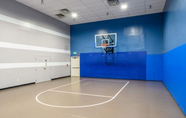 A basketball court with a hoop and a blue wall.