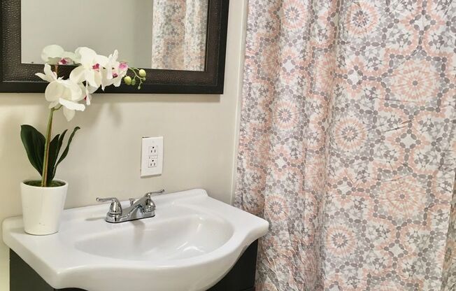 3 Bedroom House! Coming soon!