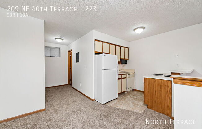 209 NE 40 TERRACE
