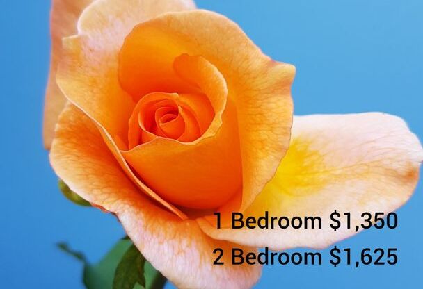 2 beds, 1 bath, 760 sqft, $1,625