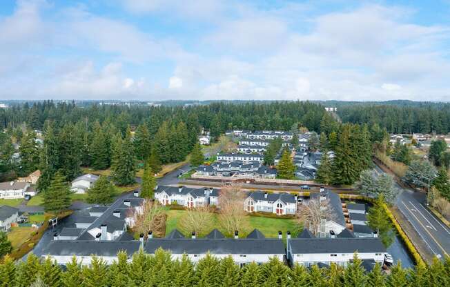 an aerial view of the Hawks Prairie neighborhood of houses and trees