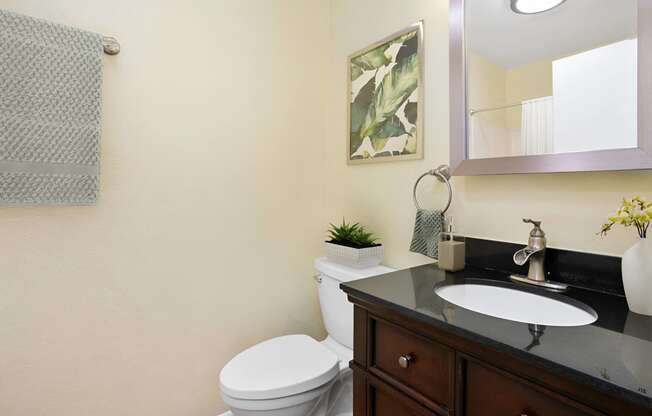 a bathroom with a toilet and a sink and a mirror at West Pointe Apartments in Burlington, NC