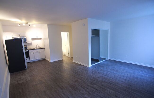 Studio, 1 bath, $1,595