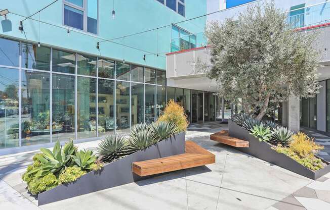 ZOE LOFTS APARTMENTS IN LOS ANGELES