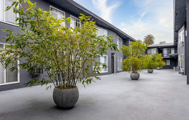 Kingsley Apartments