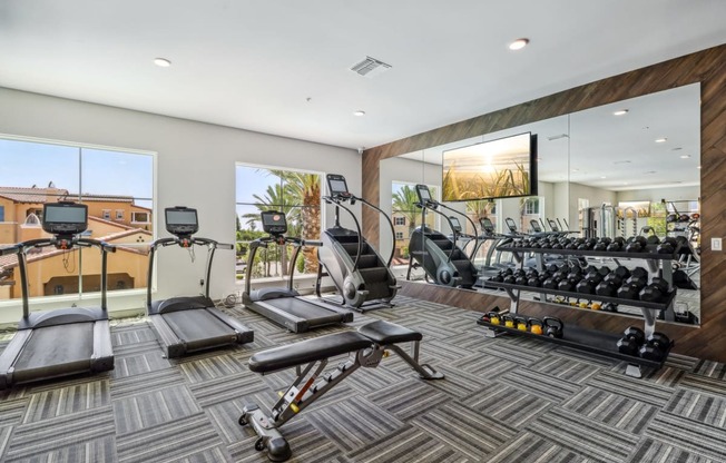 a gym with cardio machines and weights on a rug