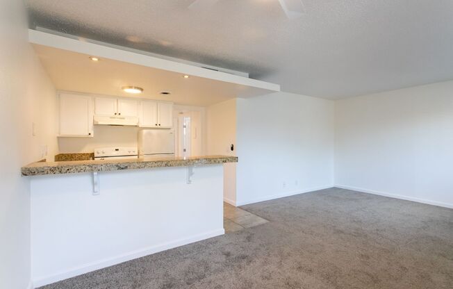 1 bed, 1 bath, 500 sqft, $1,550, Unit B