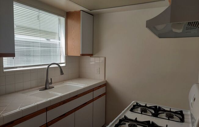 Studio, 1 bath, $1,450, Unit 4