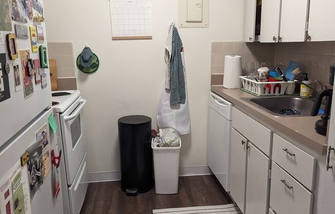 1 bed, 1 bath, 570 sqft, $2,850, Unit 507