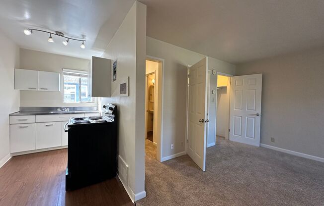Studio, 1 bath, $1,425, Unit 209