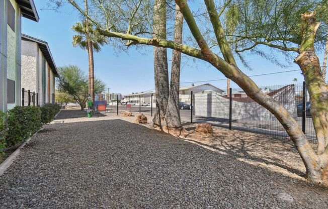 Studio, 1 bath, 300 sqft, $979, Unit 15