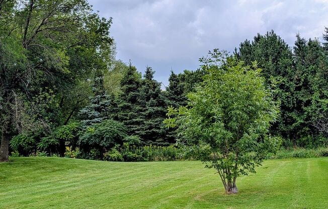 2 beds, 1 bath, 1,100 sqft, $1,319, Unit 1053 8305