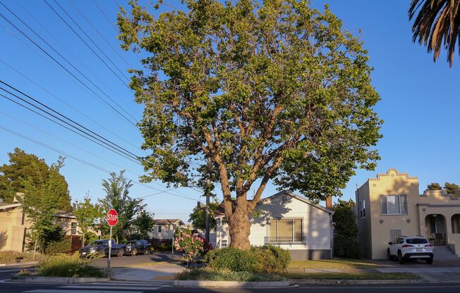 Remodeled 3bed 2 bath Single Family home