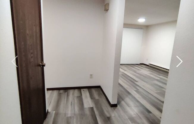 1 bed, 1 bath, 500 sqft, $1,250, Unit 404