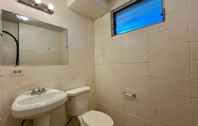 Waikiki: 1 Bed, 1 Bath Apartment