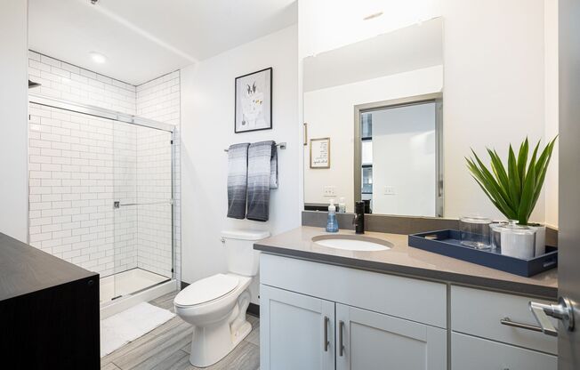 Studio, 1 bath, 605 sqft, $1,230, Unit 301