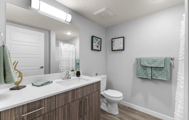 a bathroom with a toilet sink and a mirror